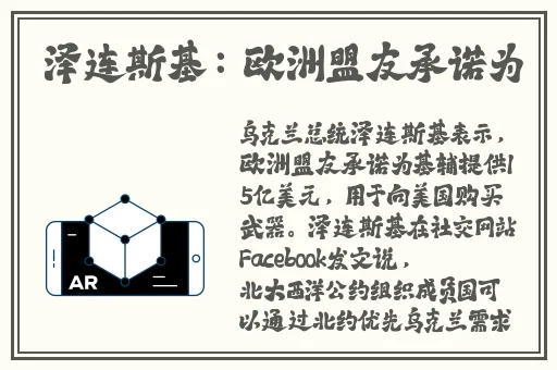 另一类Zoom孕妇
