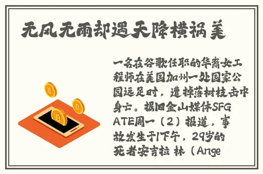 911爆料回家的路